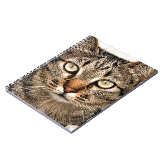 タビー猫 ノートブック (左側)