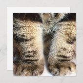 タビー猫 フラット カード, タビー, タビーの足 (正面/裏面)