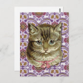 タビー猫 ポストカード (正面/裏面)