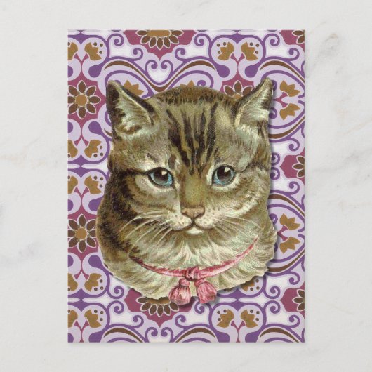 タビー猫 ポストカード (正面)