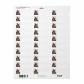 タビー猫 ラベル (フルシート)