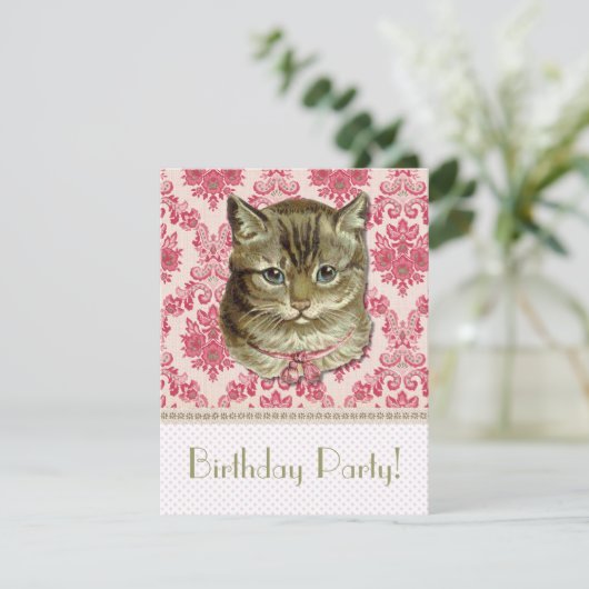 タビー猫 招待状 (スタンド正面)