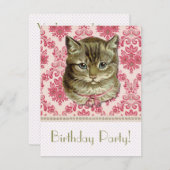 タビー猫 招待状 (正面/裏面)