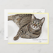 タビー猫「誰も猫を所有することはない」| ポストカード (正面/裏面)