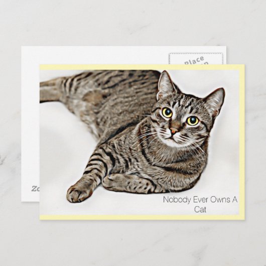 タビー猫「誰も猫を所有することはない」| ポストカード (正面/裏面)