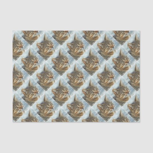 タビー素晴らしキャットクローズアップグラファイト鉛筆ポルトラ 薄葉紙 (正面)