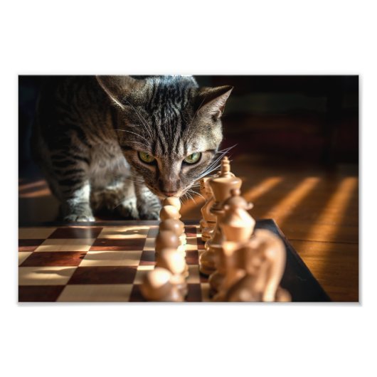 タビー遊キャツチェス フォトプリント            (正面)