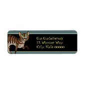 タビー間抜けネコ ラベル (正面)