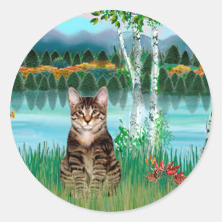 タビー トラ キャット - 白樺 ラウンドシール