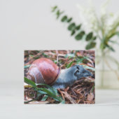 タピスネイルはがき ポストカード (スタンド正面)