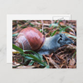 タピスネイルはがき ポストカード (正面/裏面)