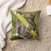 タピチャラカアマガエル Hyloscirtus クッション (ブランケット)