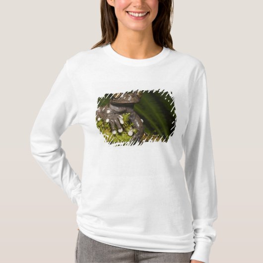 タピチャラカモリガエル Hyloscirtus 3 Tシャツ (正面)