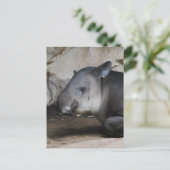 タピールポストカード ポストカード (スタンド正面)