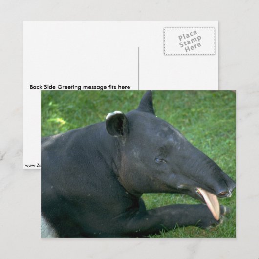 タピール ポストカード (正面/裏面)