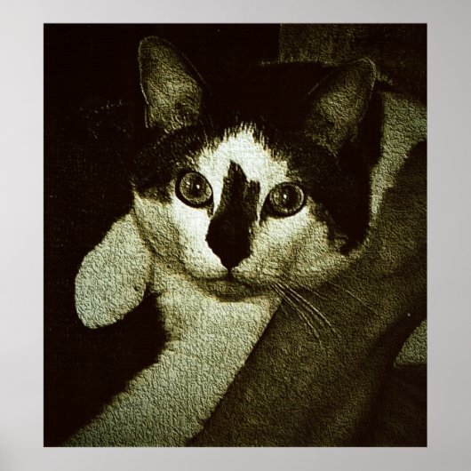 タフなバディ ポスター (正面)