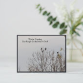 タフな鳥がはがきを貼り付ける ポストカード (スタンド正面)