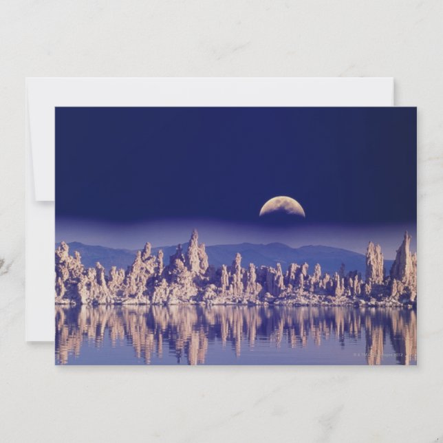 タファとムーン (正面)