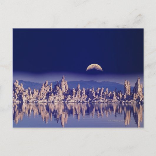 タファとムーン ポストカード (正面)