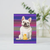 「タフィー・マッタッグス」ポストカード ポストカード (スタンド正面)