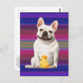 「タフィー・マッタッグス」ポストカード ポストカード (正面/裏面)