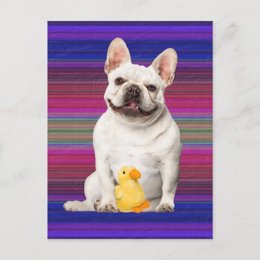 「タフィー・マッタッグス」ポストカード ポストカード (正面)