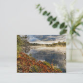 タフカメノンリバーサンライズ |パラダイス,ミシガン ポストカード (スタンド正面)