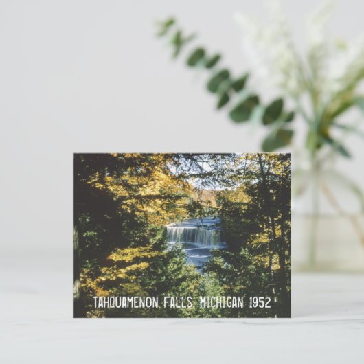 タフカメノン滝ミシガンポストカード ポストカード (スタンド正面)