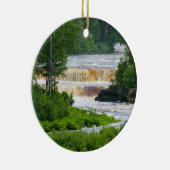 タフクアメノンザロワー滝 セラミックオーナメント (右)