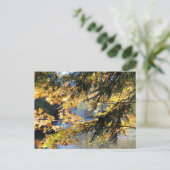 タフクアメノン滝 ポストカード (スタンド正面)