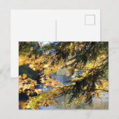 タフクアメノン滝 ポストカード (正面/裏面)