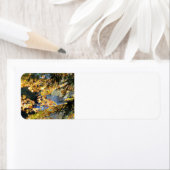 タフクアメノン滝 ラベル (インサイチュ)