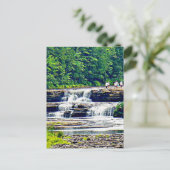 タフクアメノン秋州パークローワー秋、ミシガン ポストカード (スタンド正面)