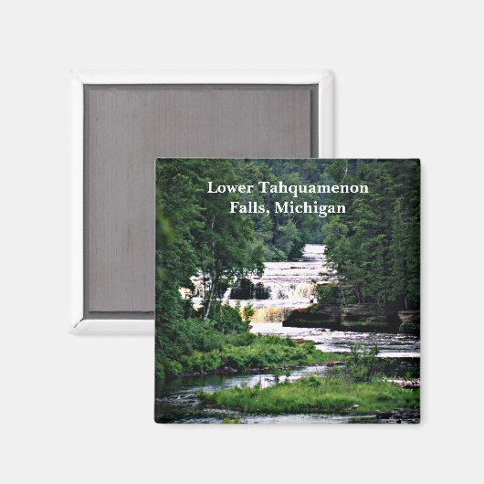 タフクアメノン秋州パークローワー秋、ミシガン マグネット (正面/裏面)