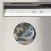 タフテッドタイトマウスのフォトマグネット マグネット (インサイチュ (食洗機))