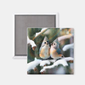 タフテッドタイトマウスカップル マグネット (正面/裏面)