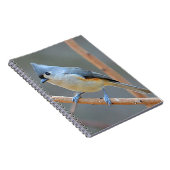 タフテッドタイトマウスノートブック ノートブック (右側)