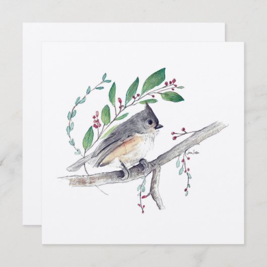 タフテッドタイトマウズバードアート (正面/裏面)