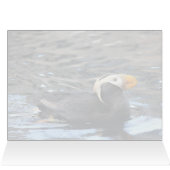 タフテッドパフィン – 5" x 7"アートカード (内部横(上))