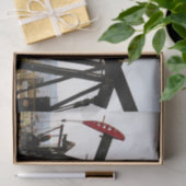 タフトカリフォルニアのカボチャ 薄葉紙 (ギフト)