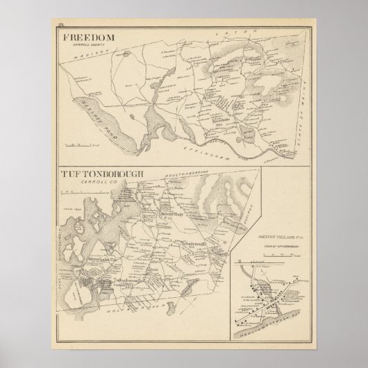 タフトンボロー・フリーダム ポスター (正面)