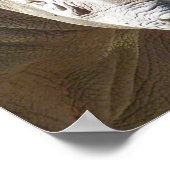 タフ物 ポスター (角)