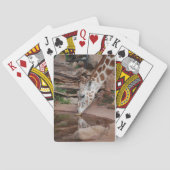 タフ遊ガイ トランプ (裏面)