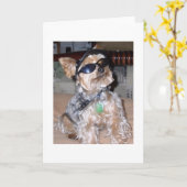 タフ・ドッグ カード (黄色い花)