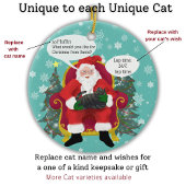 タブおもしろいビー猫がワイッシュでサンタを笑わされる訪れる セラミックオーナメント