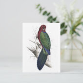 タブアンパラケートバイエドワード・リア ポストカード (スタンド正面)