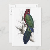 タブアンパラケートバイエドワード・リア ポストカード (正面/裏面)