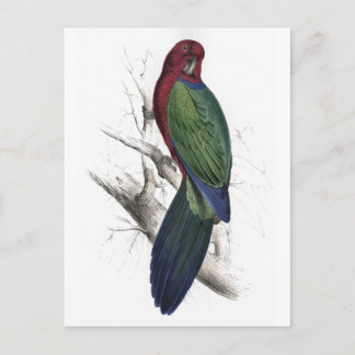 タブアンパラケートバイエドワード・リア ポストカード