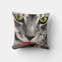 タブビーキャットリキングポーウ