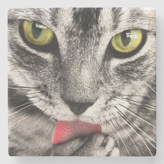 タブビーキャットリキングポーウ ストーンコースター (正面)